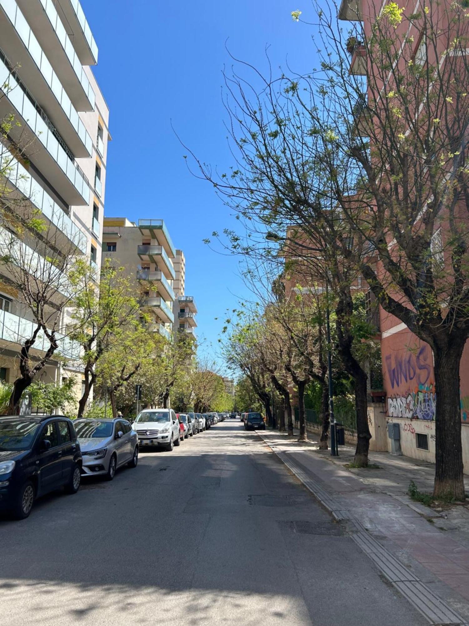 Siso Apartment